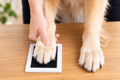 Inkless Paw Print Keepsake
